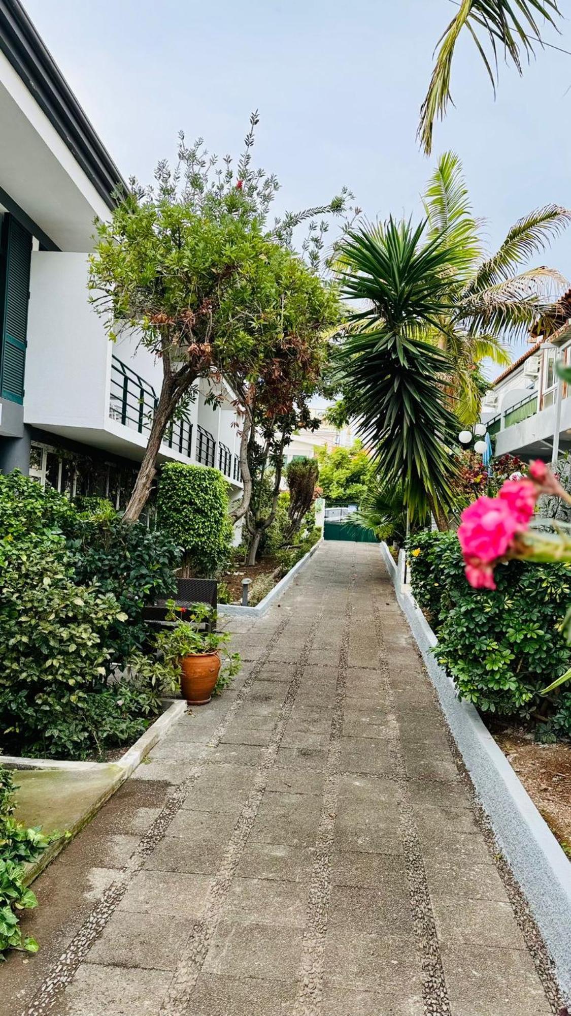 Monte Verde Funchal  Luaran gambar