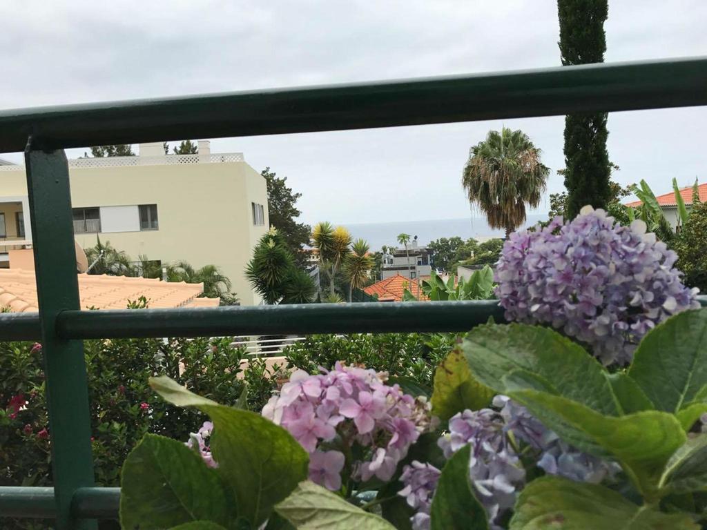 Monte Verde Funchal  Luaran gambar